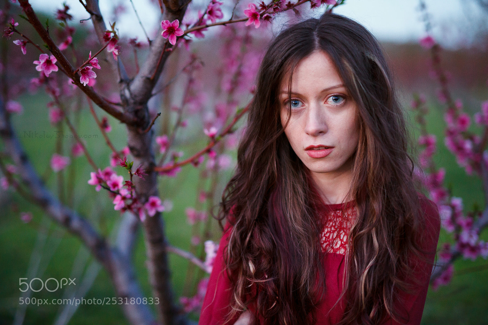 Canon EOS 5D Mark II sample photo. It is spring again photography