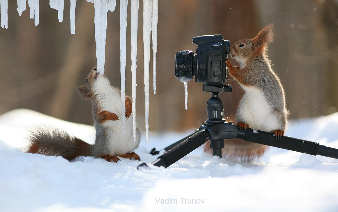 Vadim Trunov (vadimtrunov) Photos / 500px