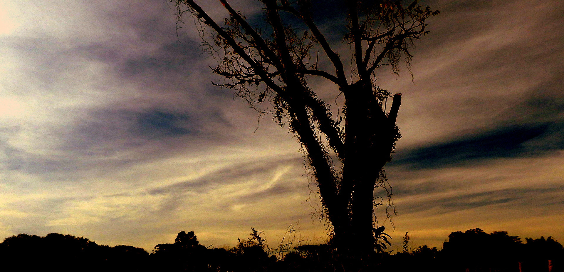 Fujifilm FinePix SL1000 sample photo. Landscape photography