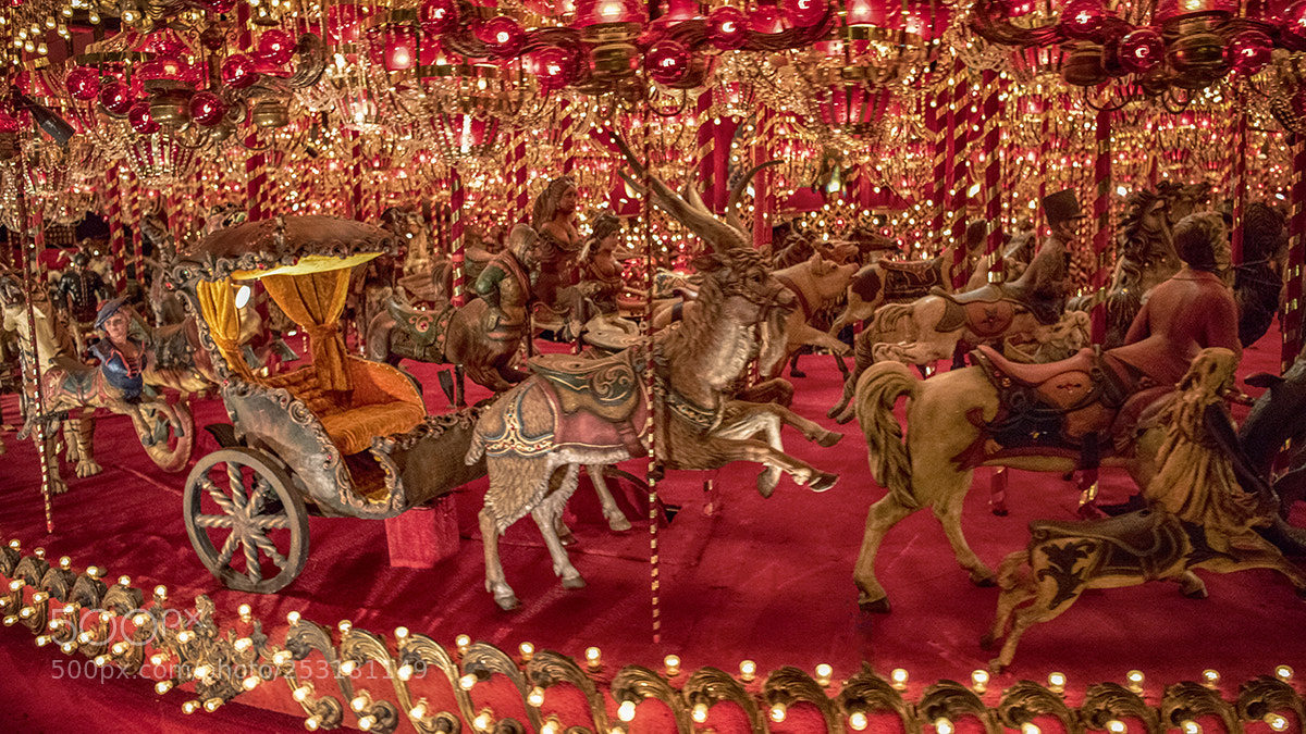 Nikon D810 sample photo. Carousel at the house photography