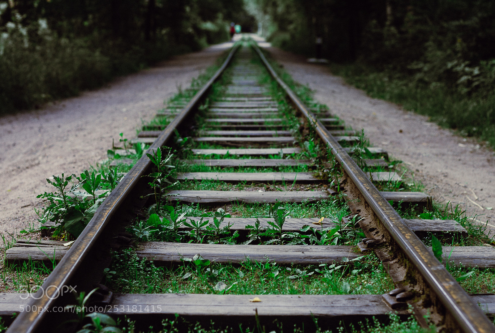 Canon EOS 7D sample photo. Rail.. photography
