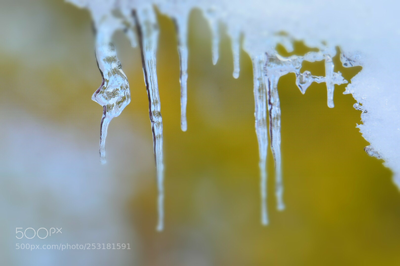 Nikon D7200 sample photo. Ice photography