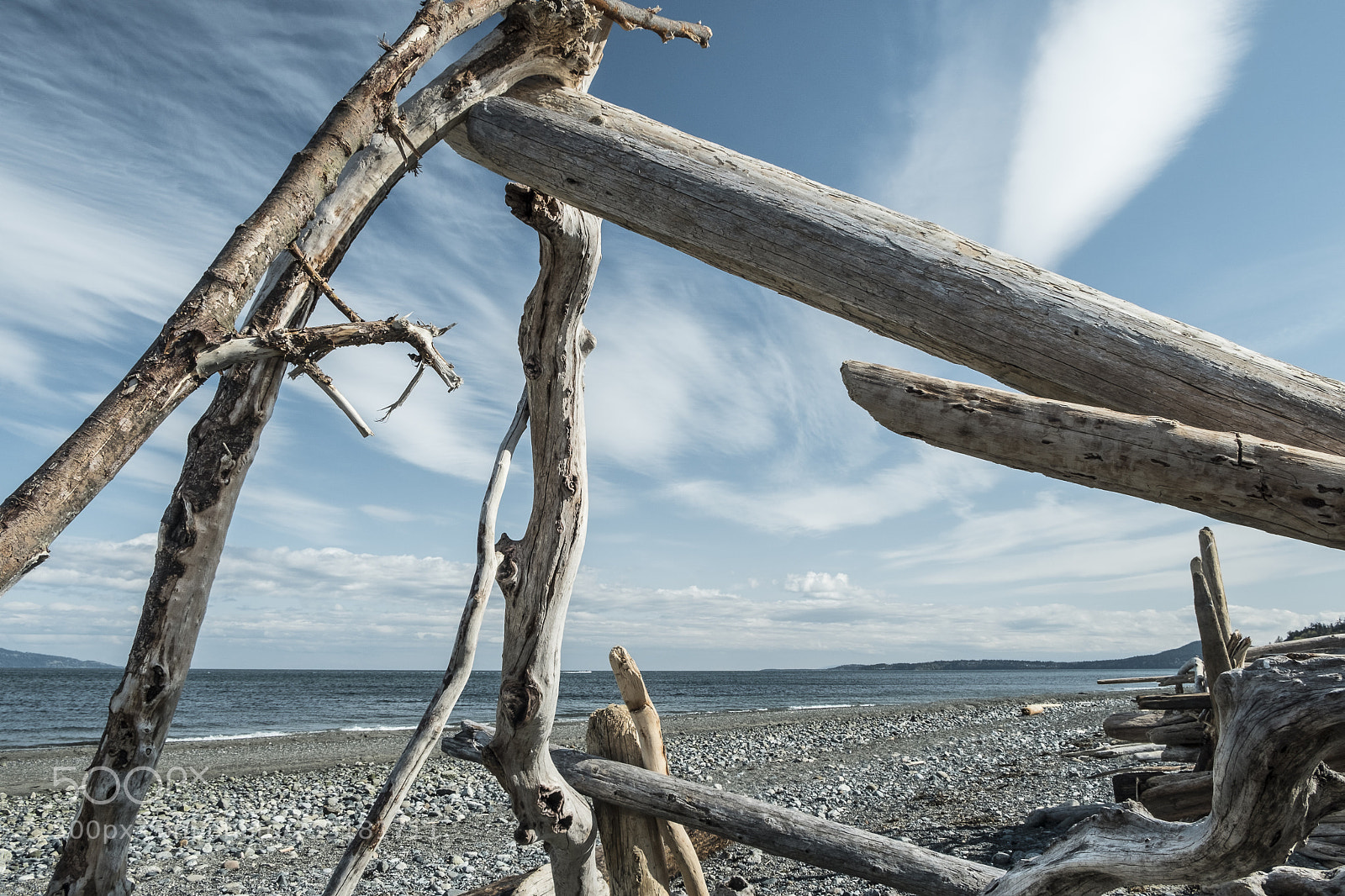 Fujifilm X-T20 sample photo. Driftwood sculpture ii. photography