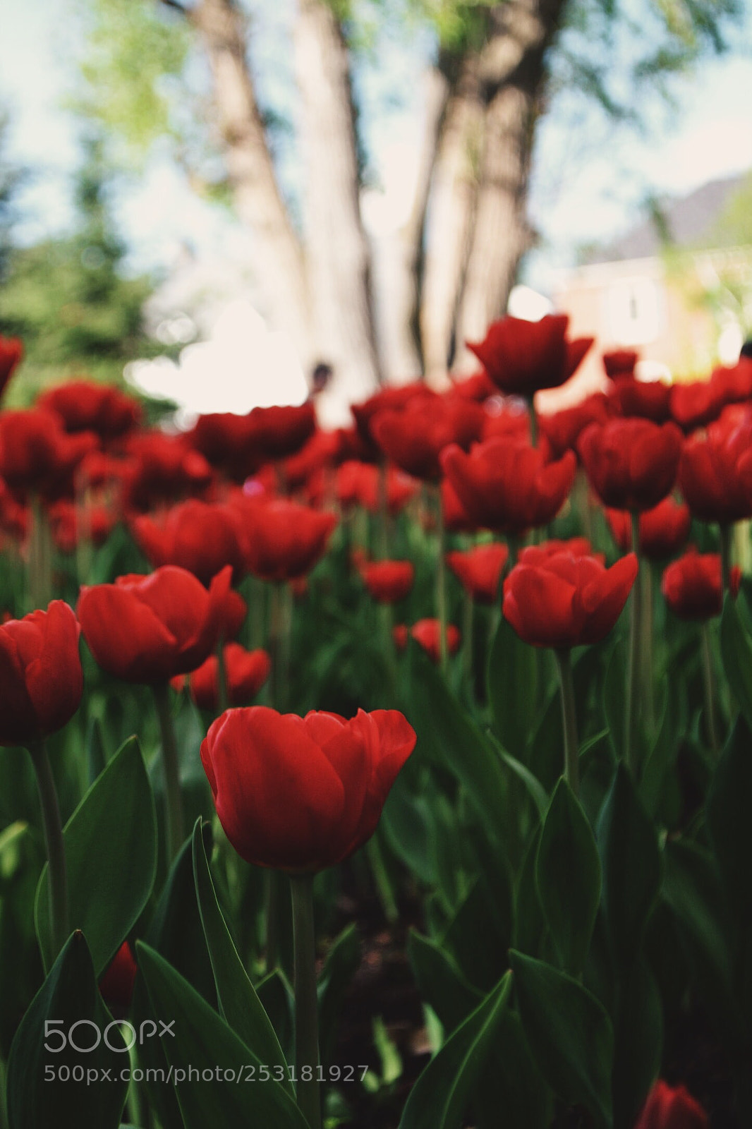 Nikon D3100 sample photo. Untitled photography