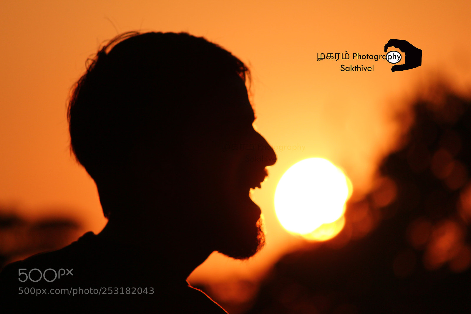 Canon EOS 700D (EOS Rebel T5i / EOS Kiss X7i) sample photo. Sillhoutte photography