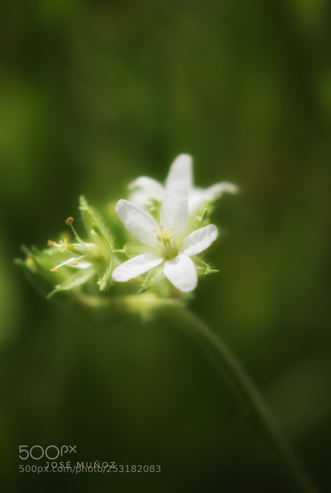 Nikon D3300 sample photo. Untitled photography