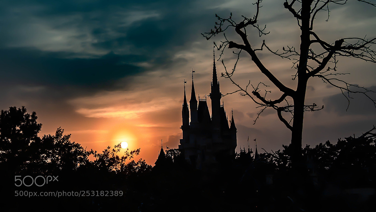 Sony a6500 sample photo. Disney castle sunset photography