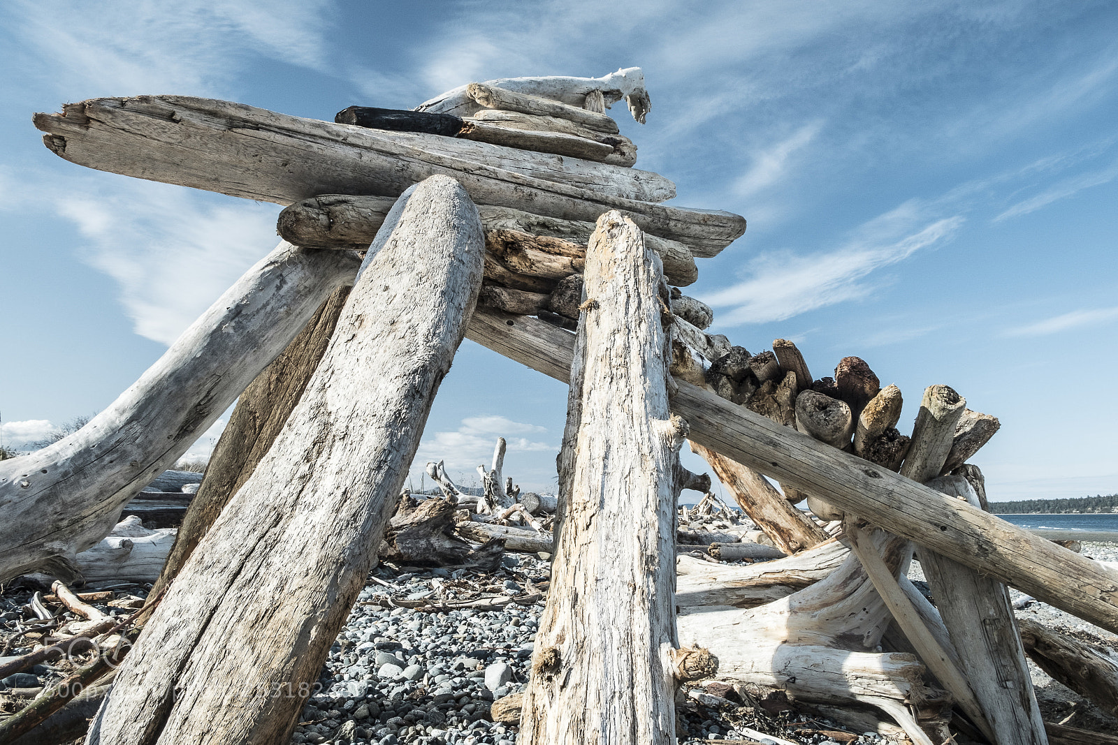 Fujifilm X-T20 sample photo. Driftwood sculpture iii. photography