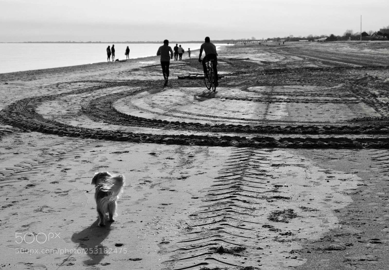 Fujifilm X-T20 sample photo. At the beach photography
