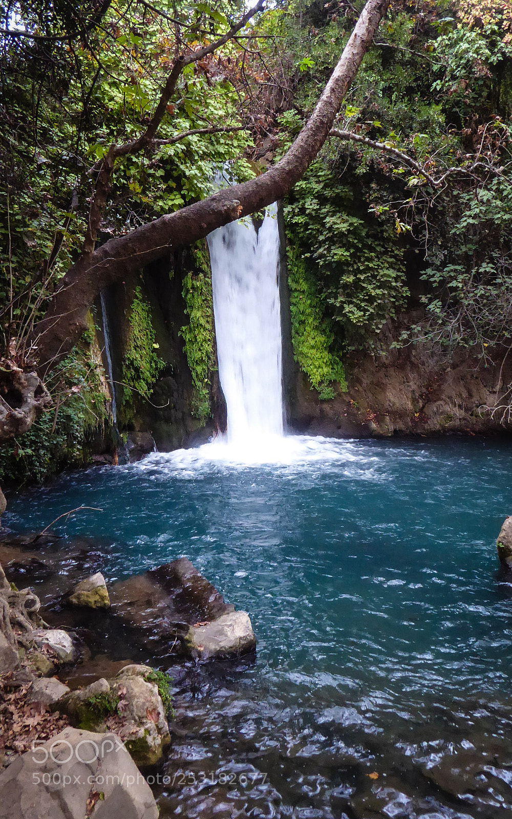 Panasonic Lumix DMC-ZS50 (Lumix DMC-TZ70) sample photo. Golan heights photography
