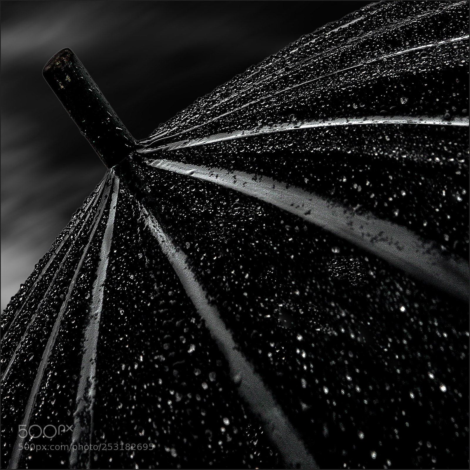 Canon EOS 40D sample photo. Perles photography