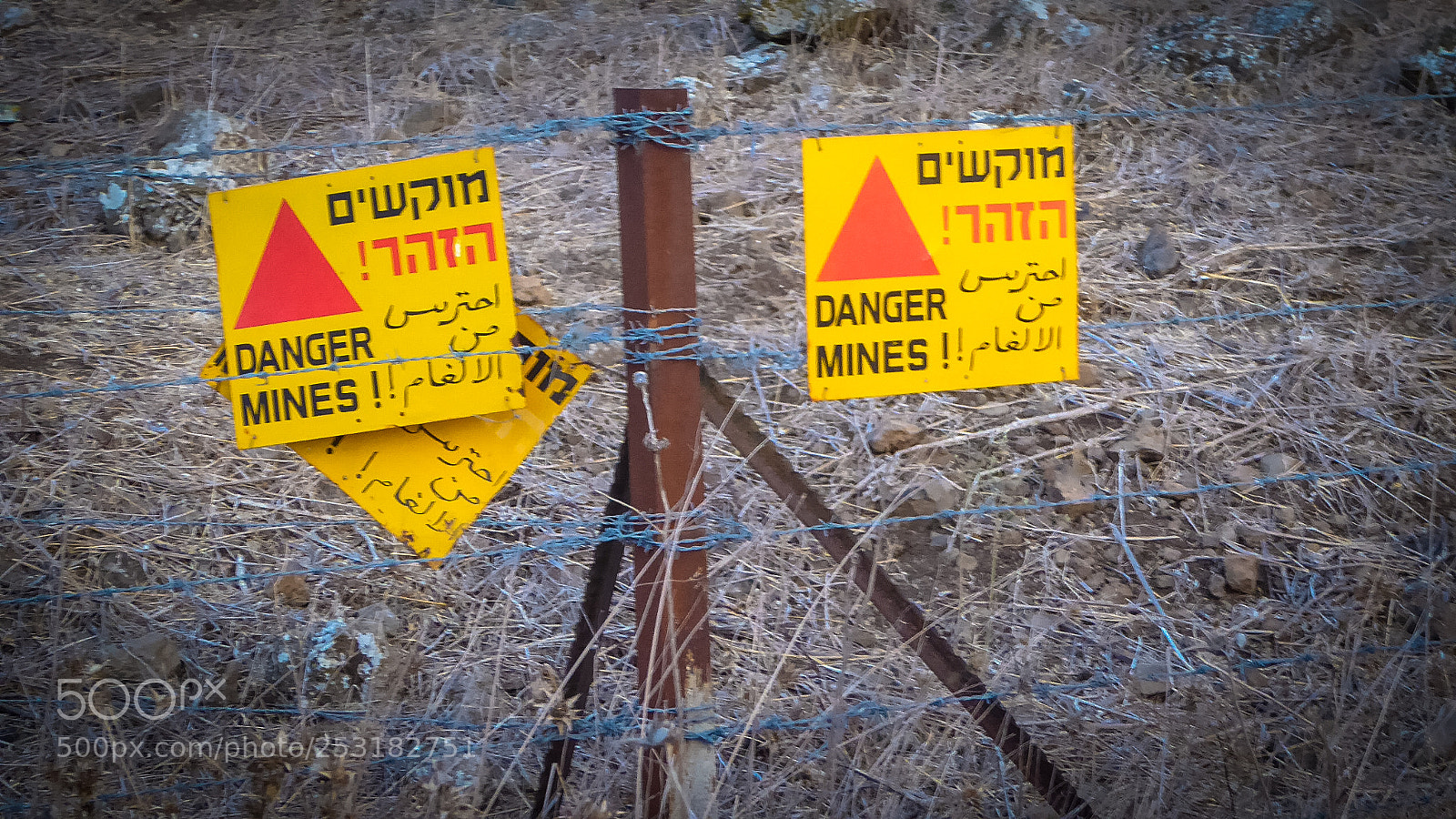 Panasonic Lumix DMC-ZS50 (Lumix DMC-TZ70) sample photo. Golan heights photography