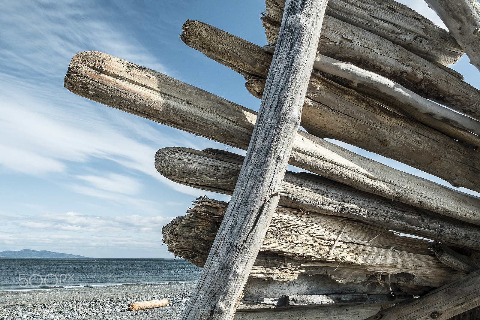 Fujifilm X-T20 sample photo. Driftwood sculpture iv. the photography