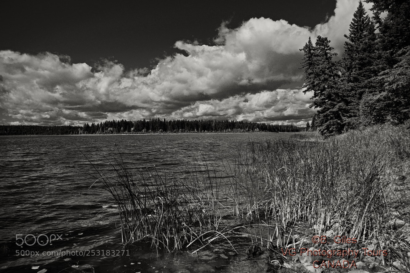 Pentax K-3 sample photo. Prince albert national park photography