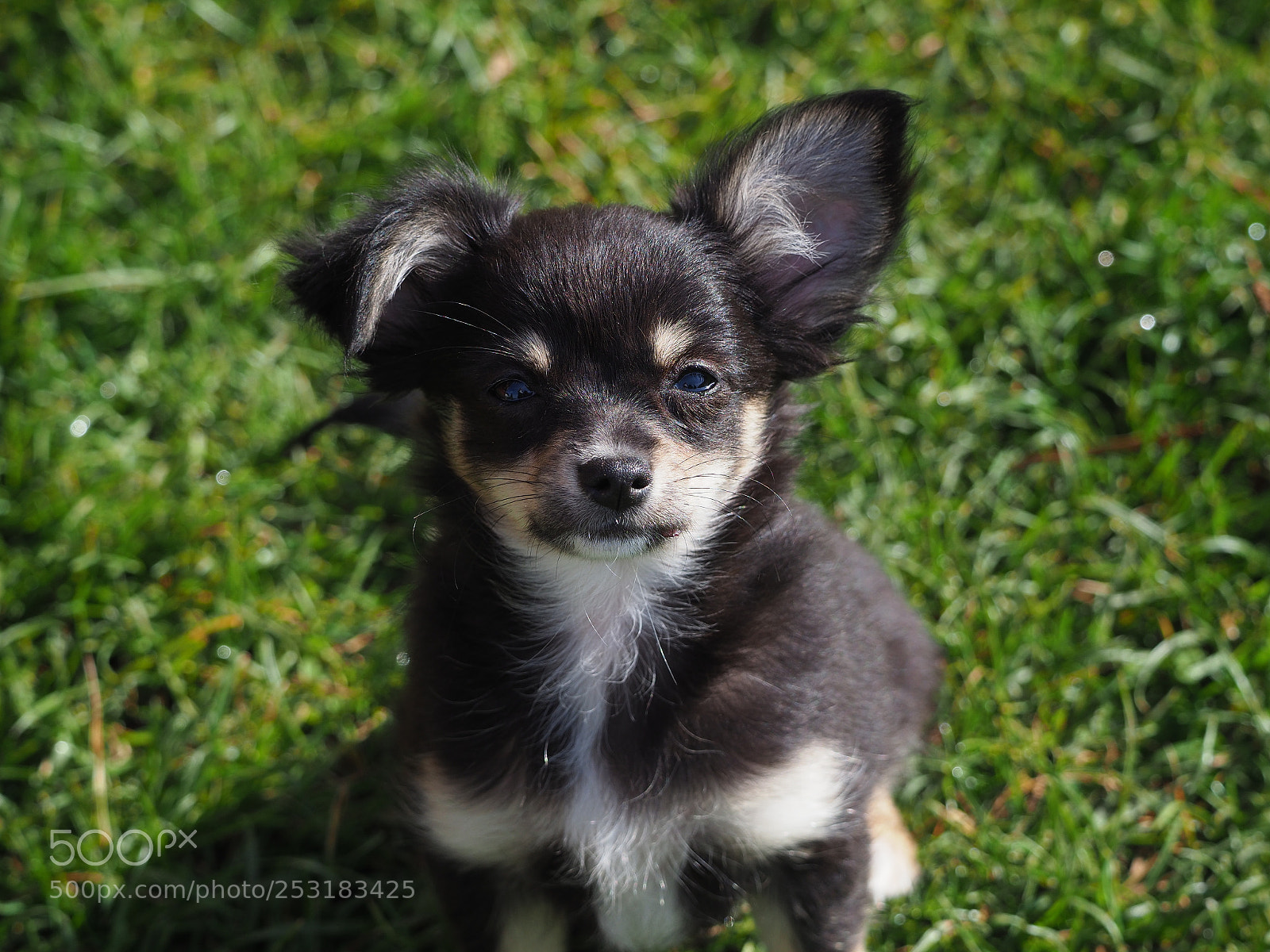 Olympus OM-D E-M1 Mark II sample photo. Untitled photography