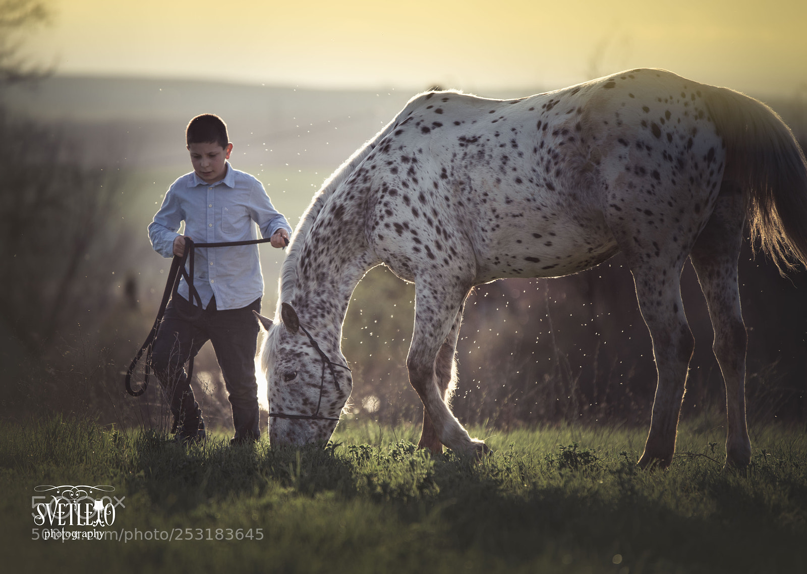 Nikon D810 sample photo. Sunset walk photography
