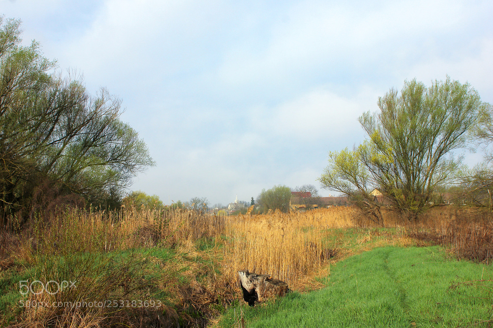 Canon EOS 600D (Rebel EOS T3i / EOS Kiss X5) sample photo. Today morning photography