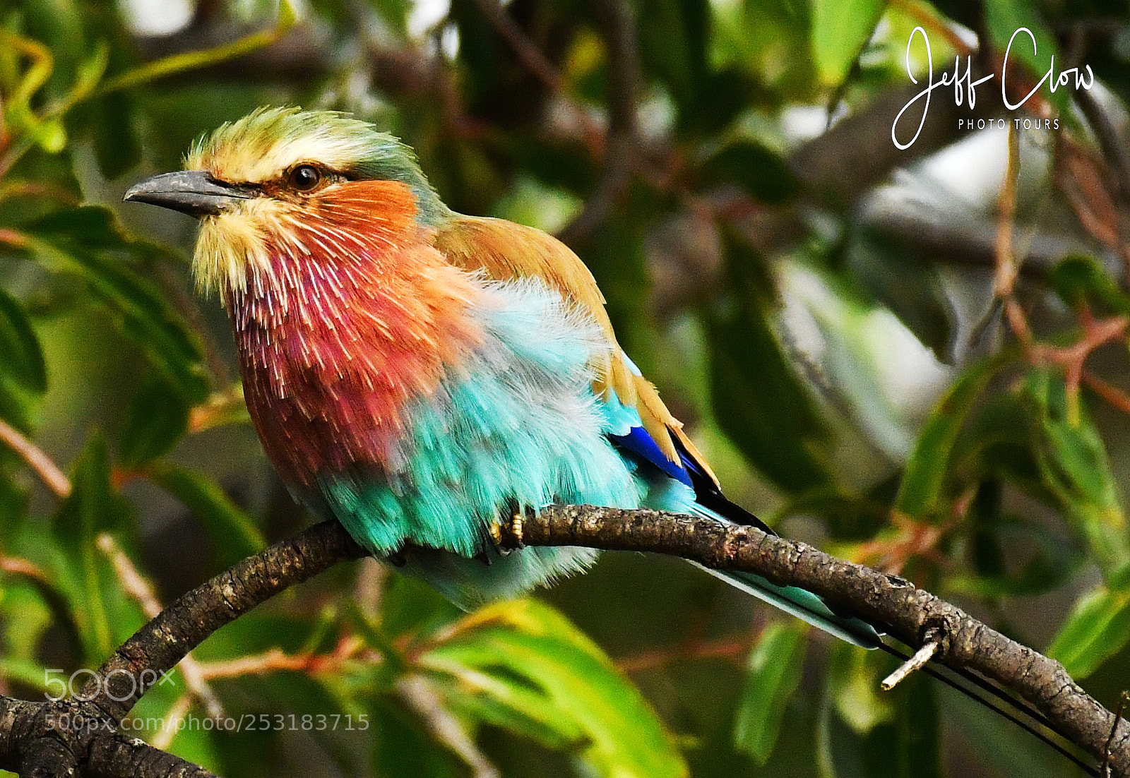 Nikon D500 sample photo. Rainbow encounter photography