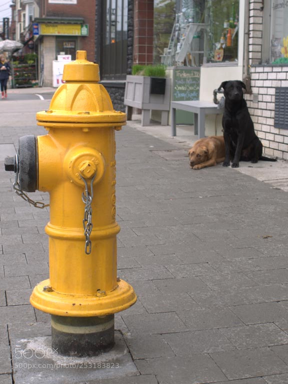 Panasonic Lumix DMC-G1 sample photo. So far away photography