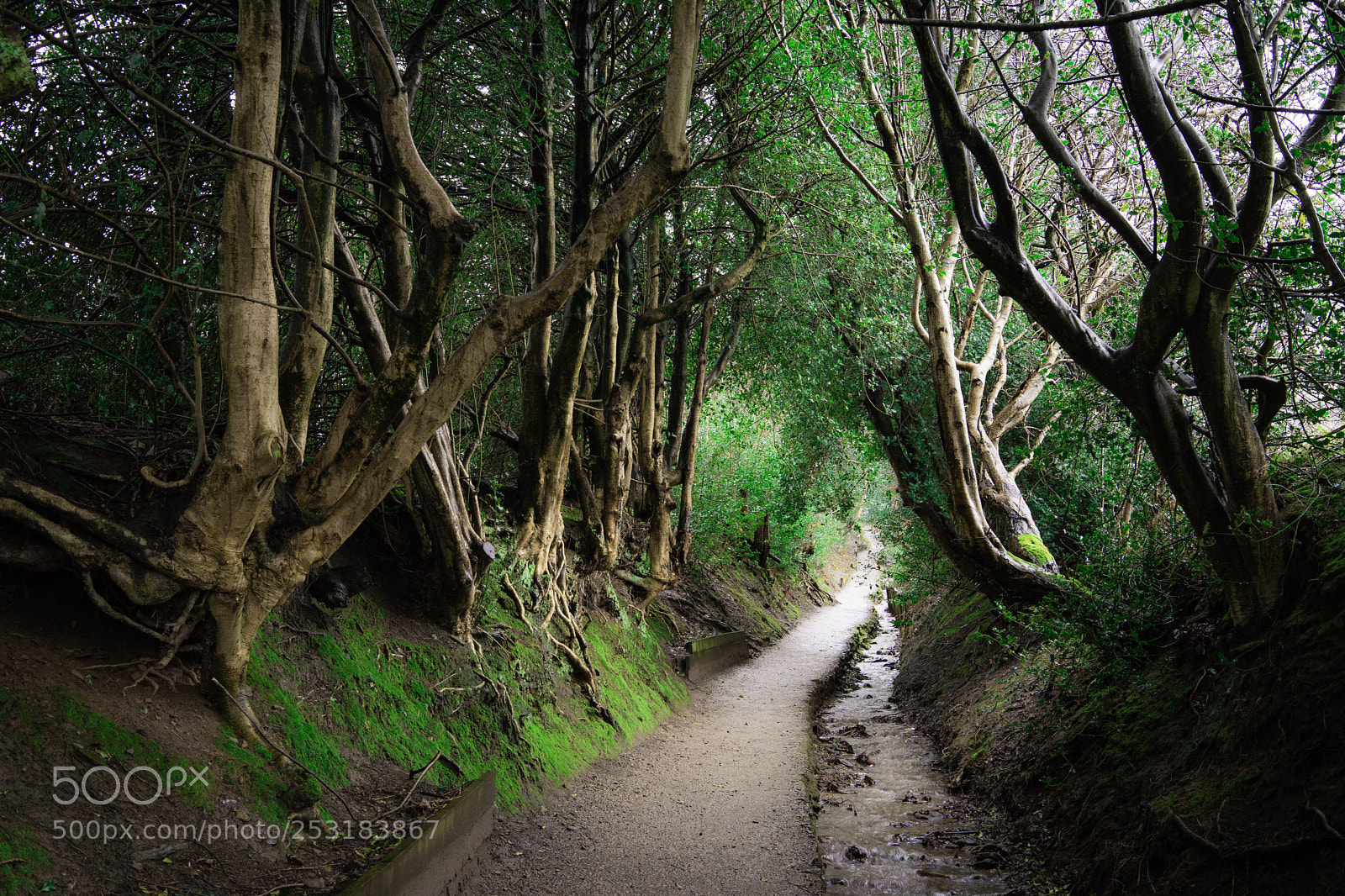 Sony a7 II sample photo. The pennine way photography