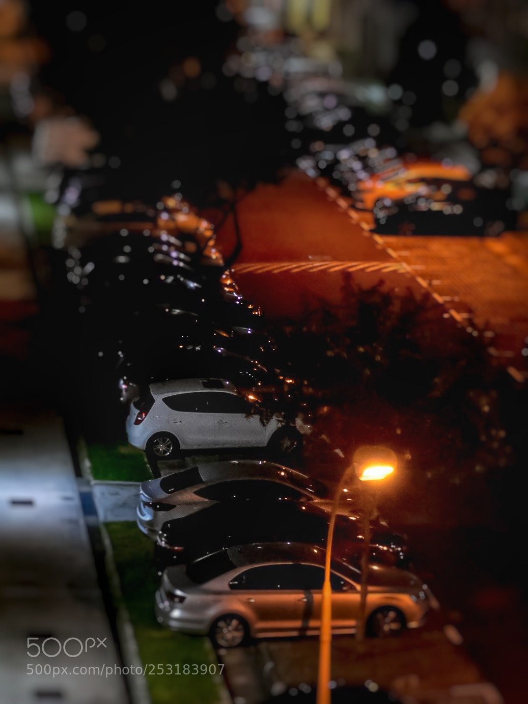 Nikon D3400 sample photo. Untitled photography