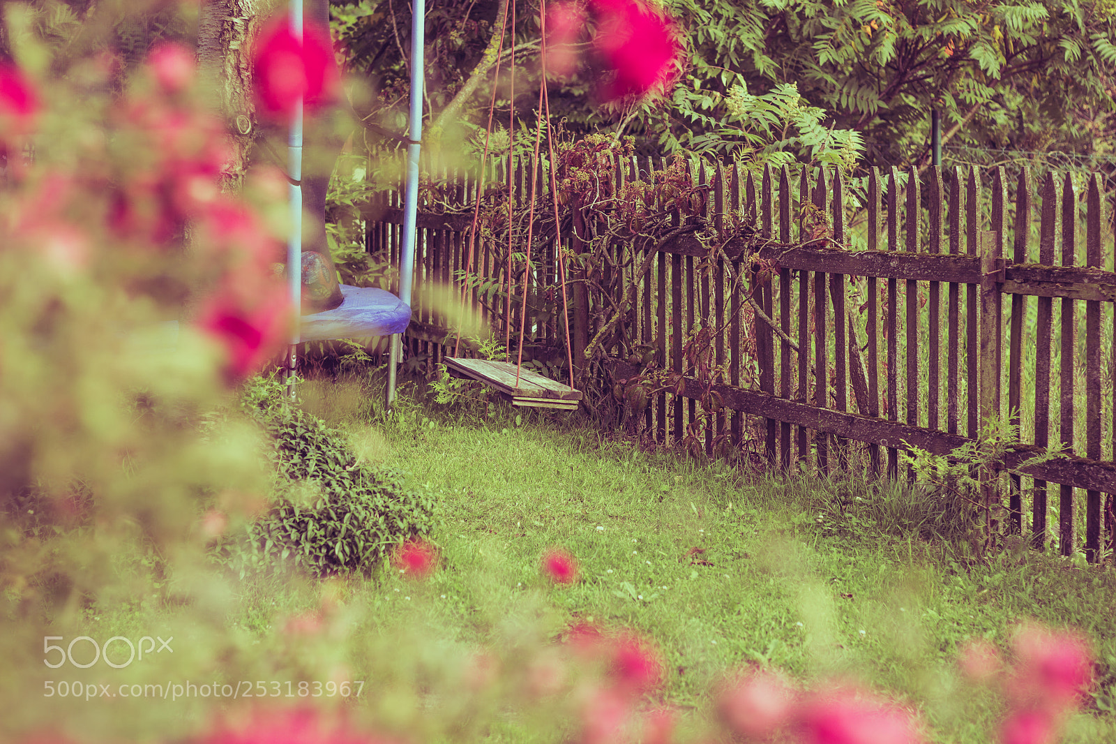 Canon EOS 600D (Rebel EOS T3i / EOS Kiss X5) sample photo. Countryside photography