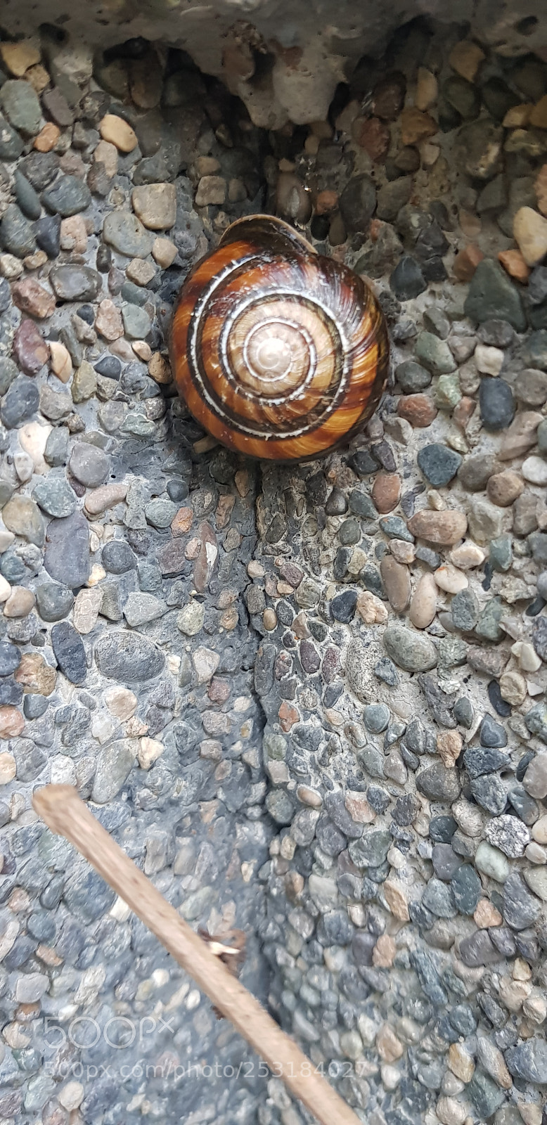 Samsung Galaxy S8 sample photo. Untitled photography