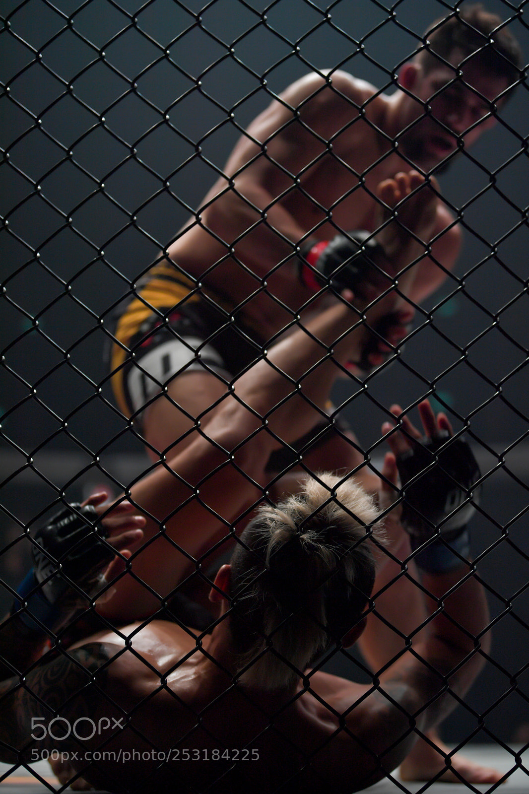 Nikon D5 sample photo. Garry tonon and richard photography