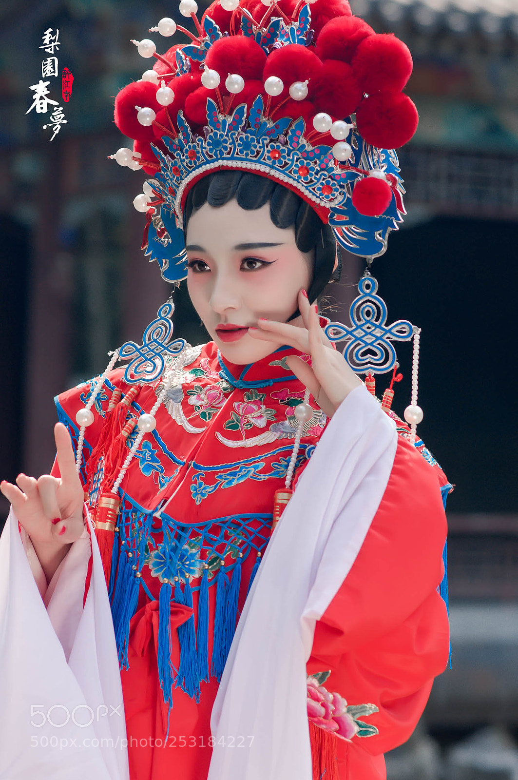 Nikon D90 sample photo. 京剧人物 photography