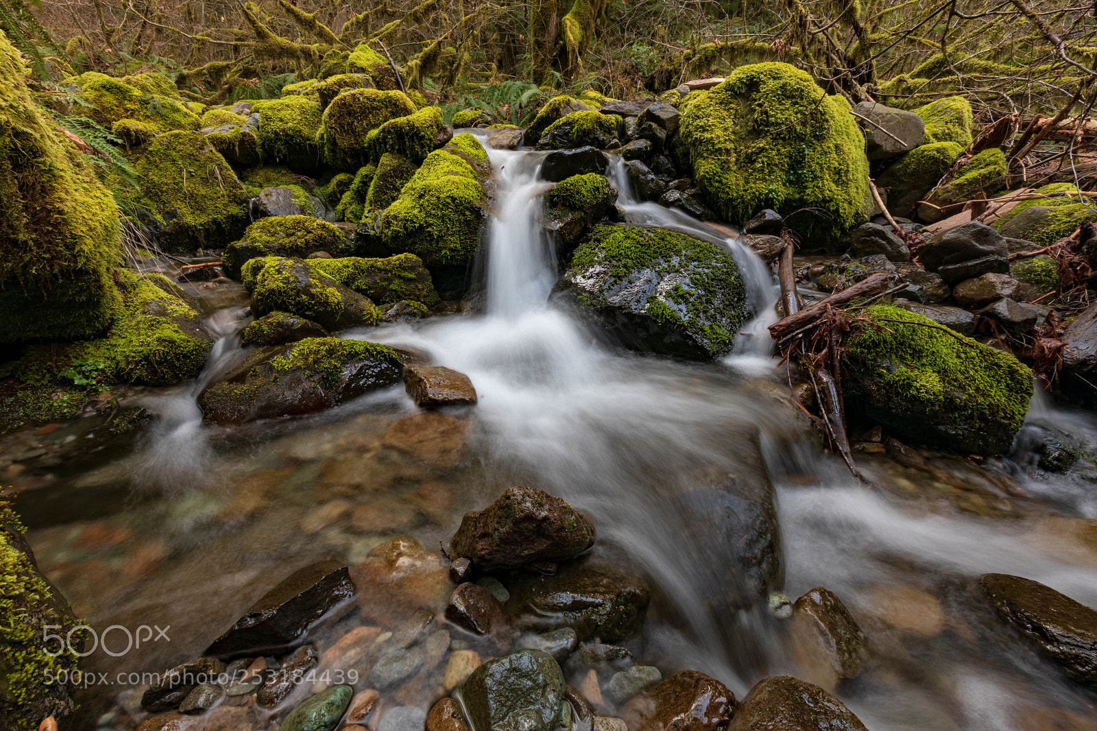 Canon EOS 5D Mark IV sample photo. Mystical falls photography