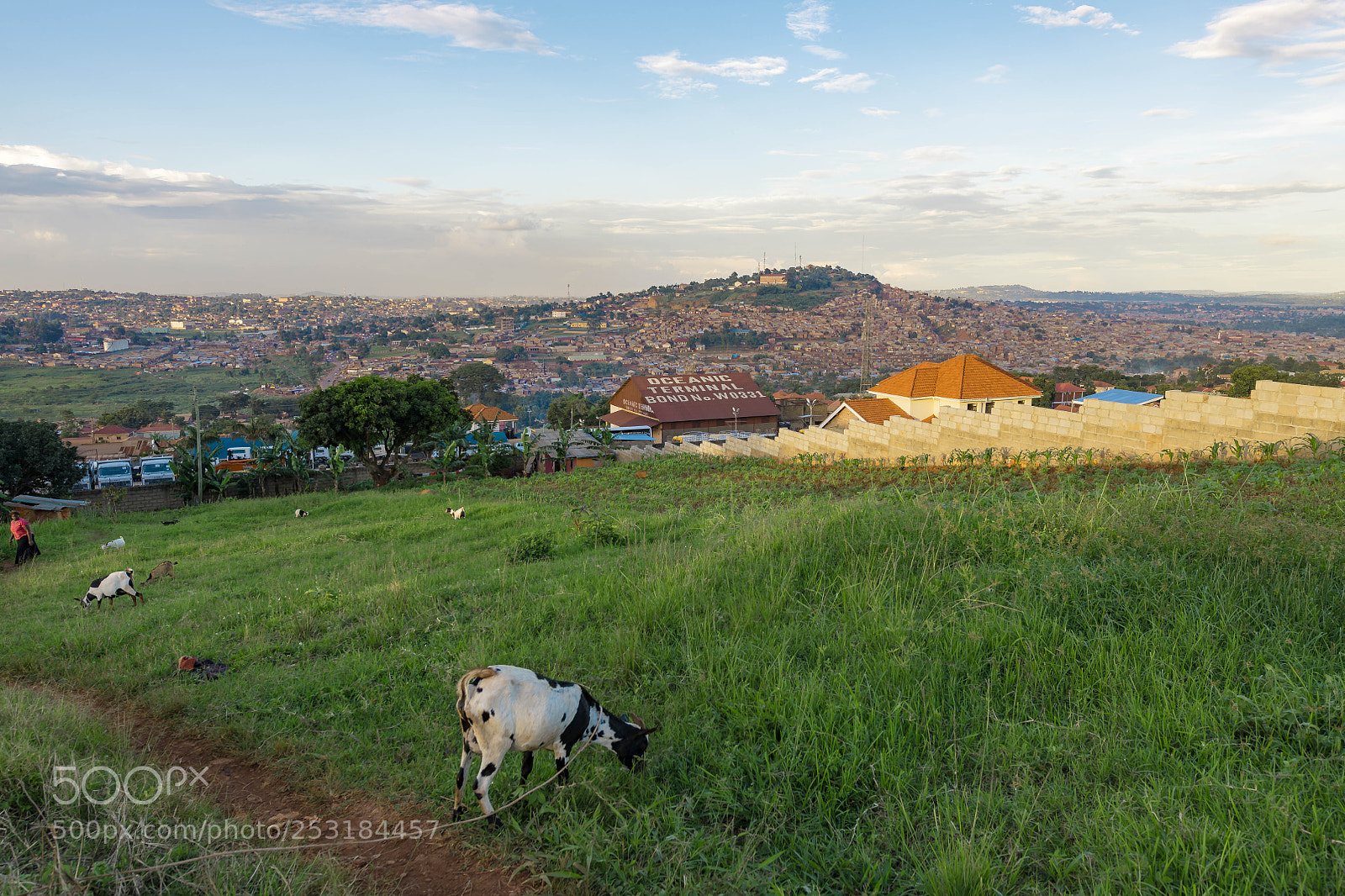 Nikon D850 sample photo. Kampala scenery photography
