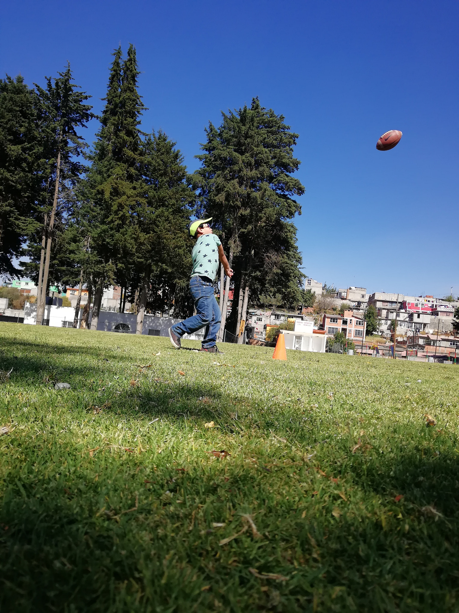 HUAWEI nova 2 Plus sample photo