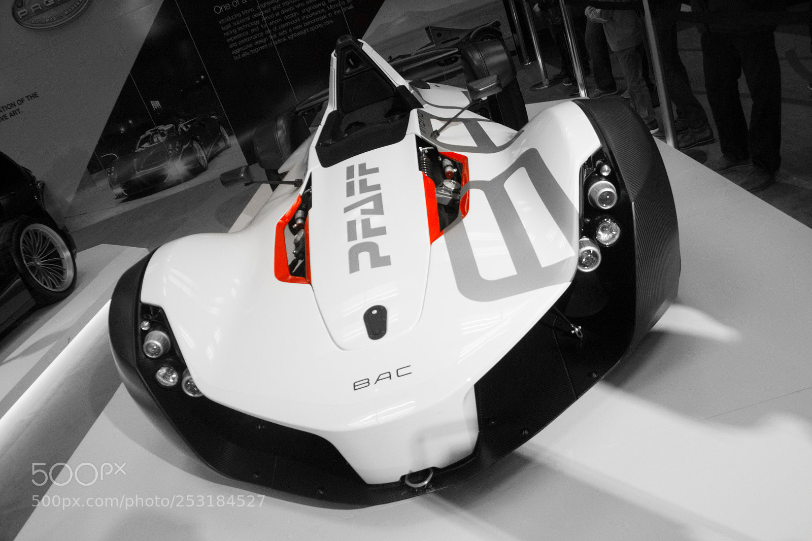 Nikon D3100 sample photo. Black and white bac photography