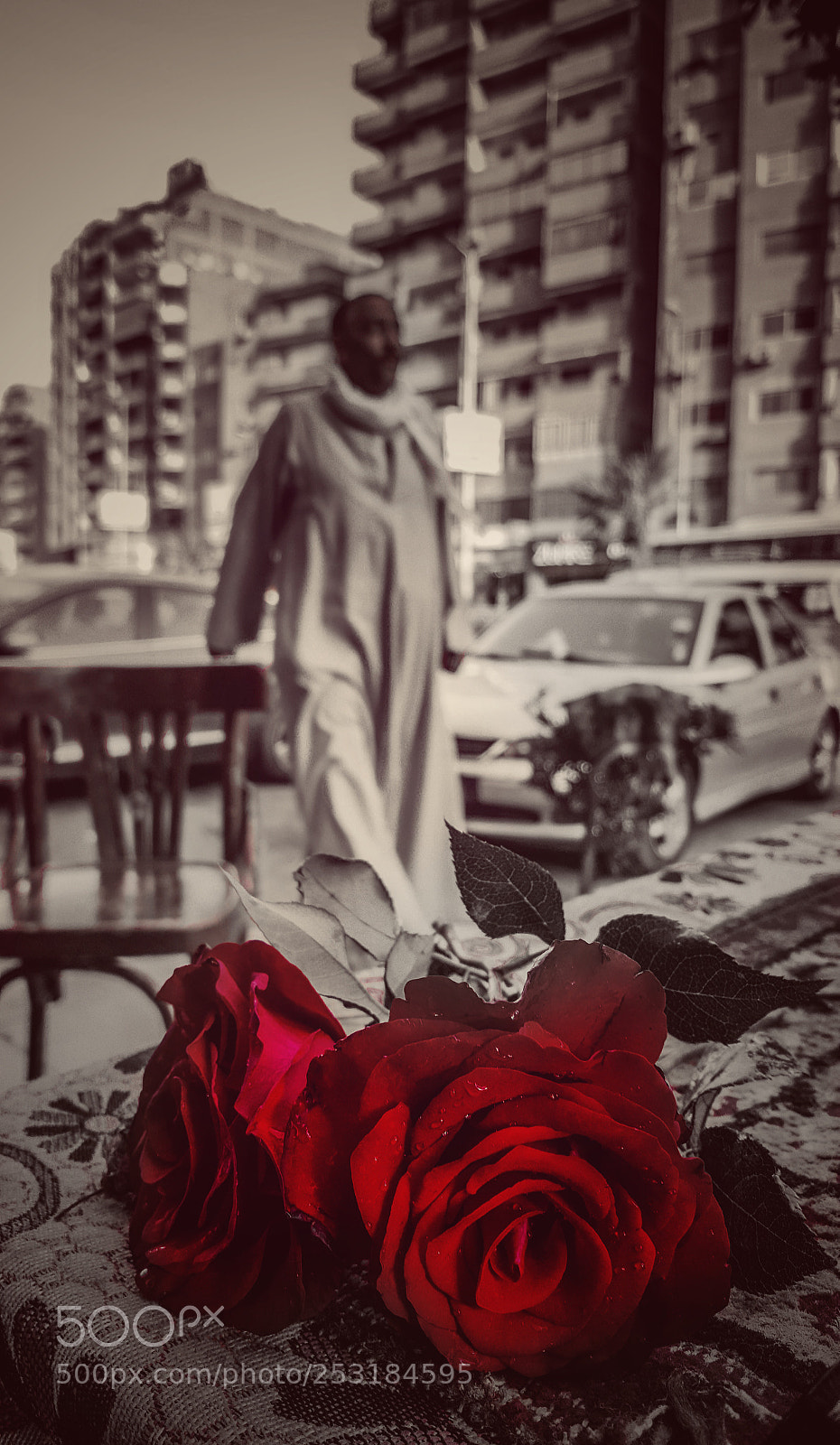 Samsung Galaxy S6 sample photo. Roses photography