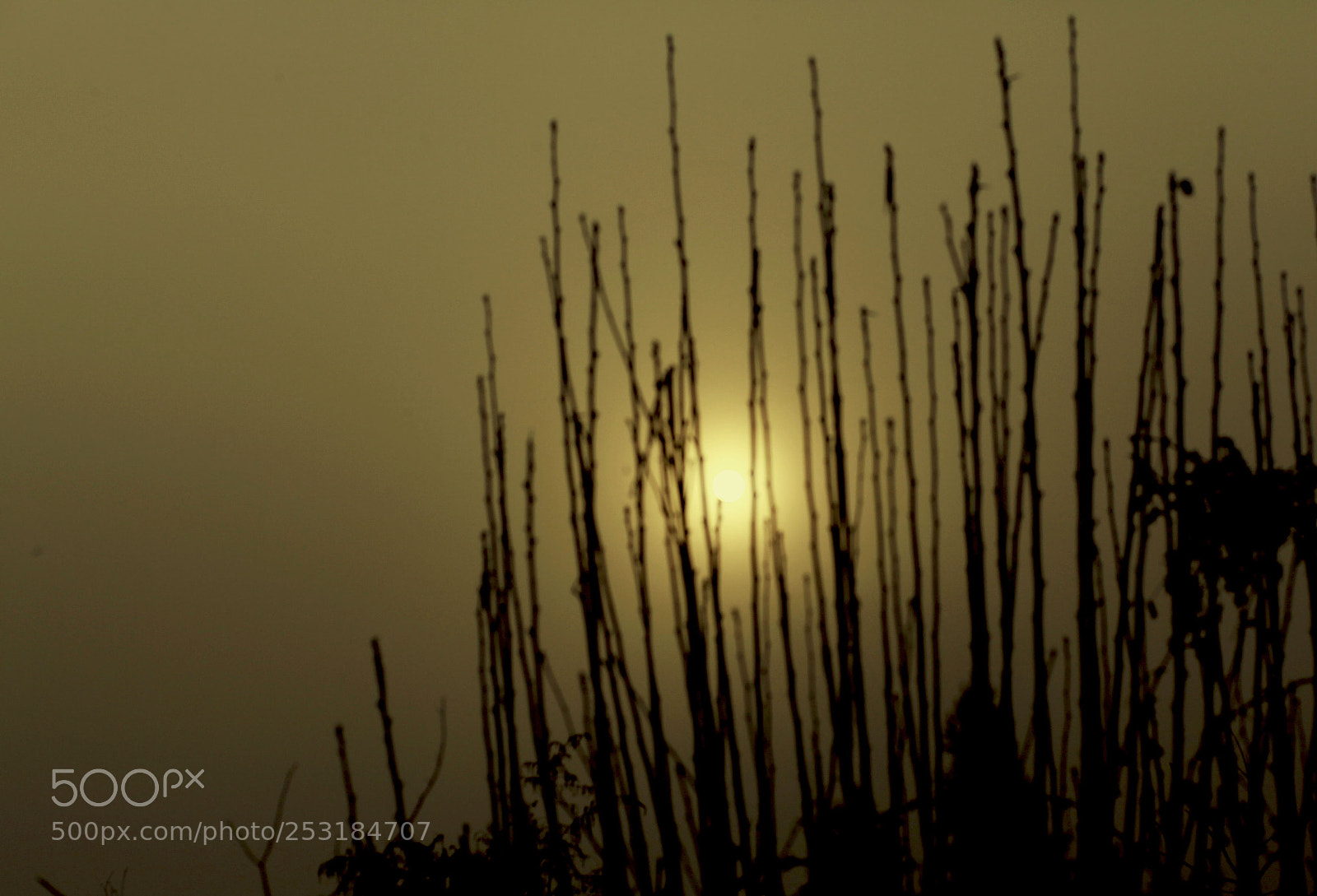 Canon EOS 5D Mark II sample photo. 1.jpg photography