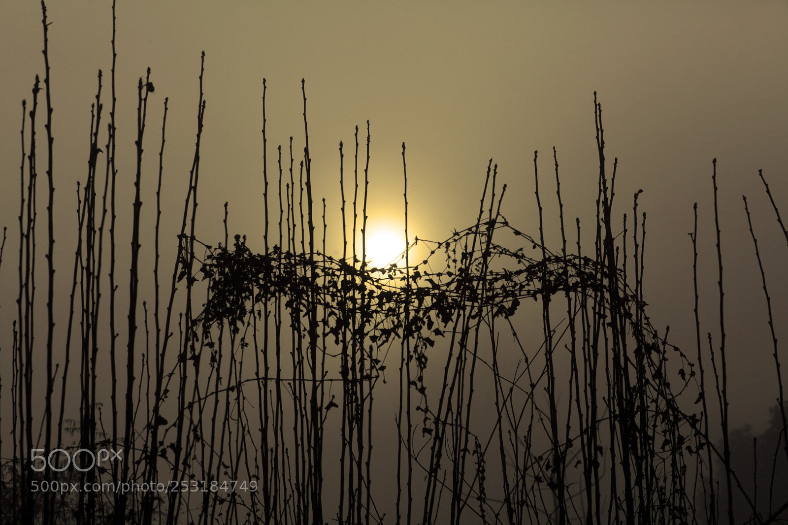 Canon EOS 5D Mark II sample photo. 4.jpg photography