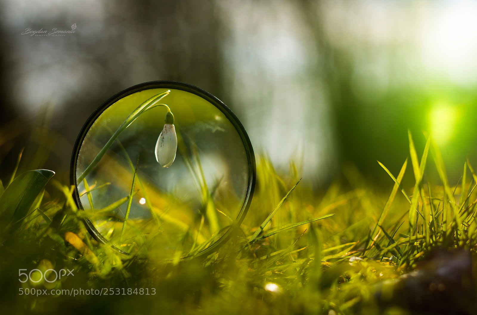 Nikon D5200 sample photo. Spring photography
