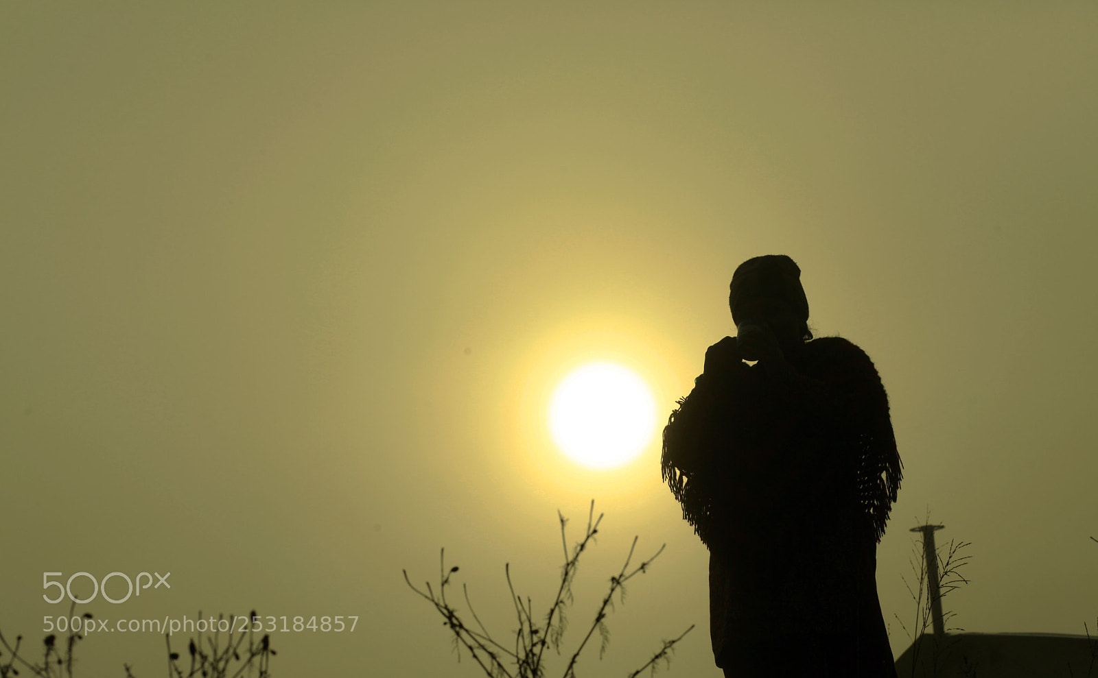 Canon EOS 5D Mark II sample photo. 7.jpg photography