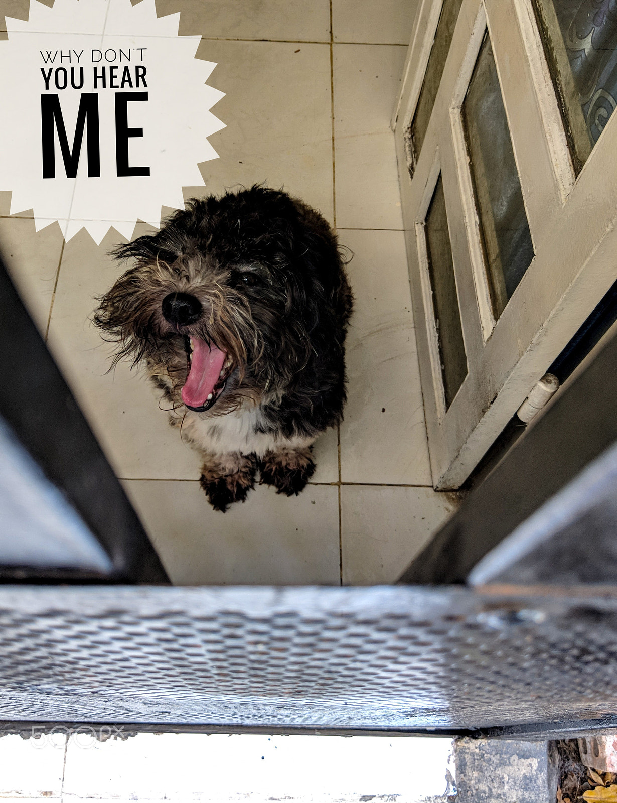 HTC U11 sample photo. Talkative photography