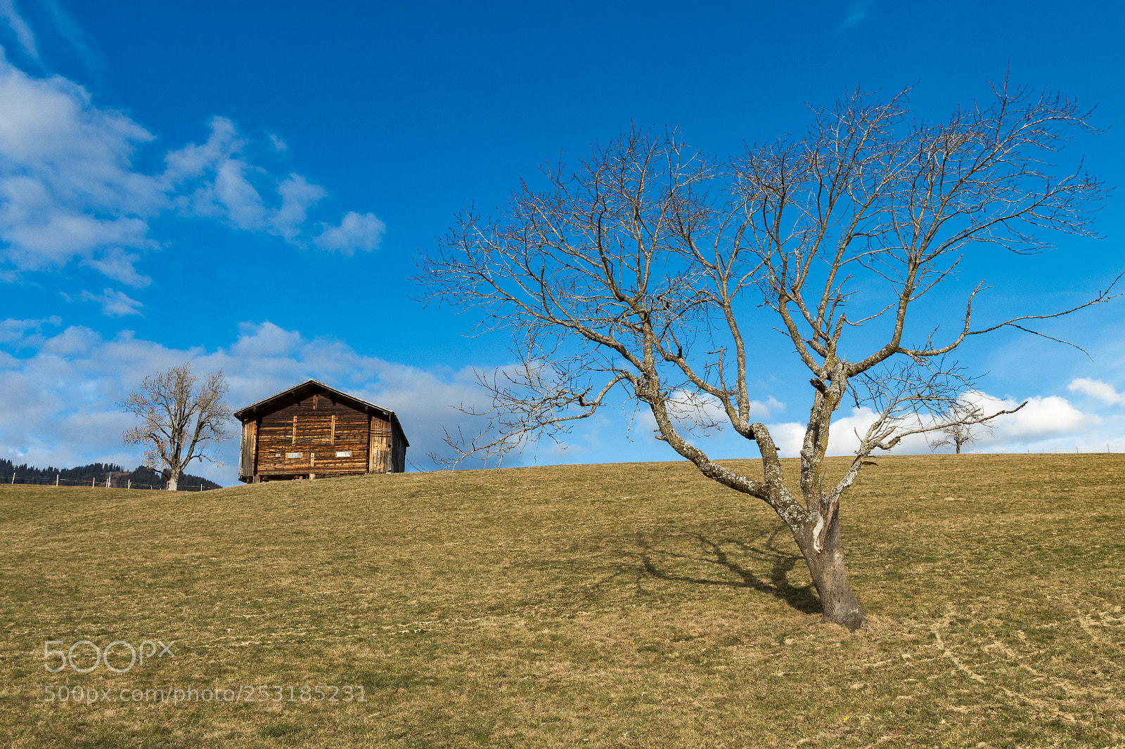 Canon EOS 70D sample photo. The house in between photography