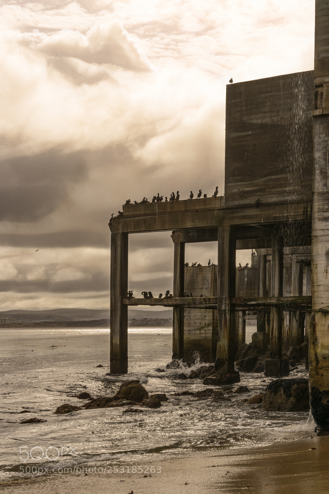 Sony a7 sample photo. Ruins and birds photography
