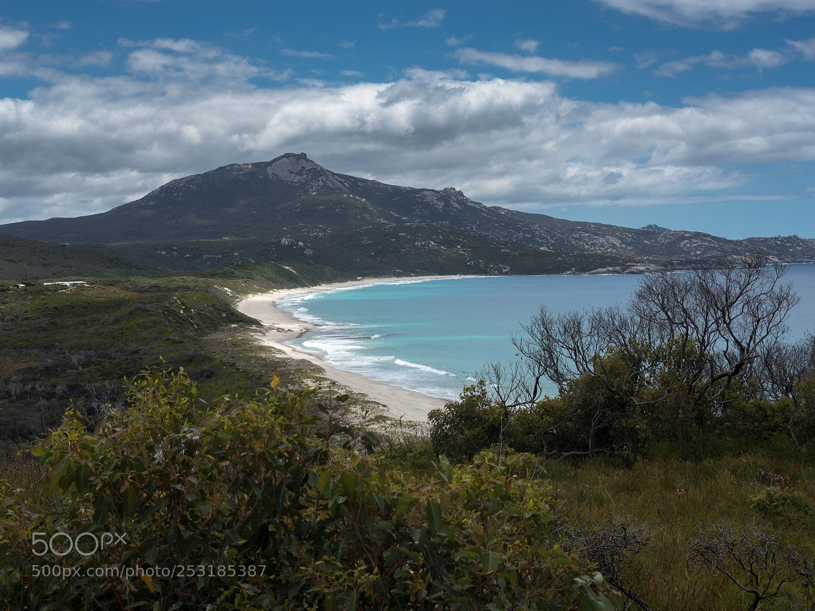 Olympus OM-D E-M5 II sample photo. Normans beach - day photography