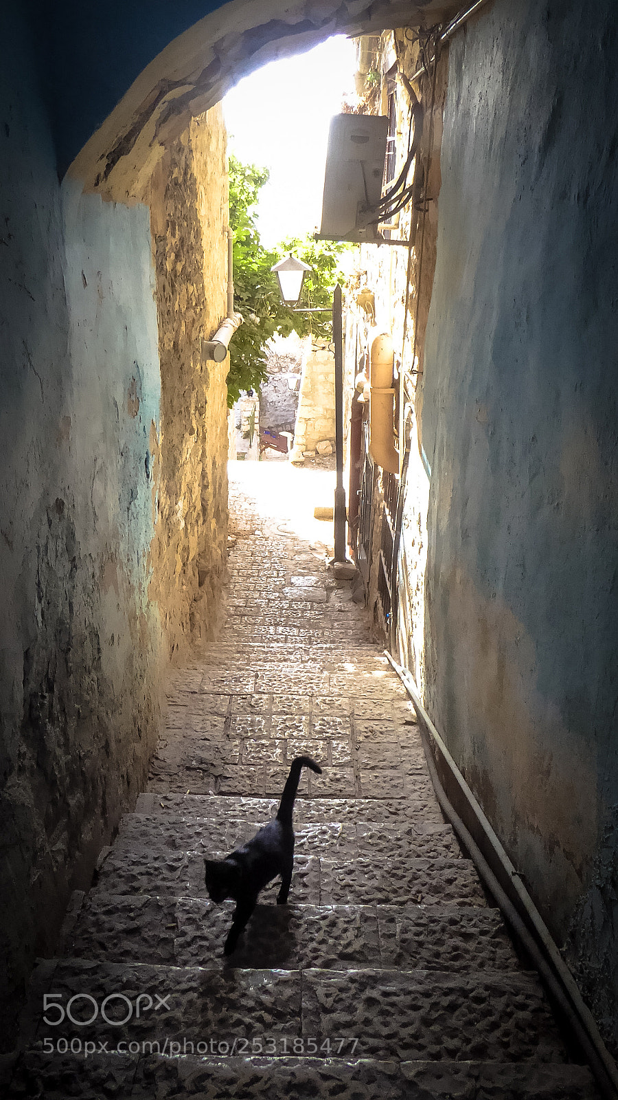 Panasonic Lumix DMC-ZS50 (Lumix DMC-TZ70) sample photo. Safed photography