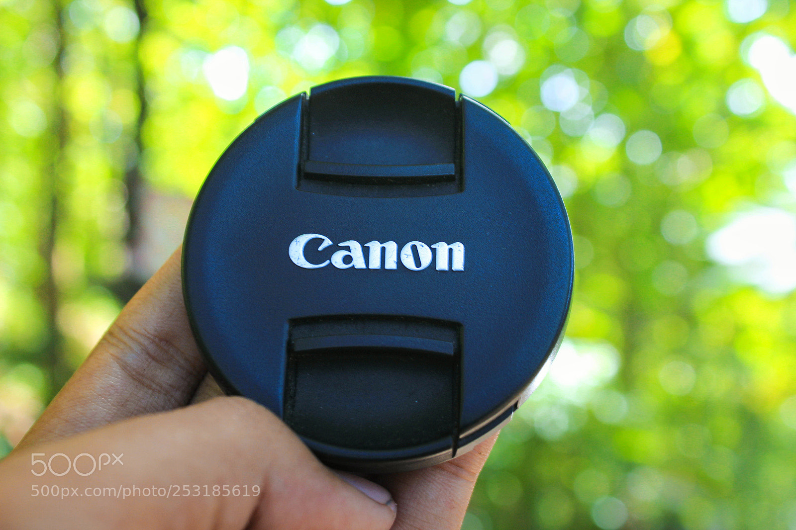 Canon EOS 1200D (EOS Rebel T5 / EOS Kiss X70 / EOS Hi) sample photo. Canon logo photography