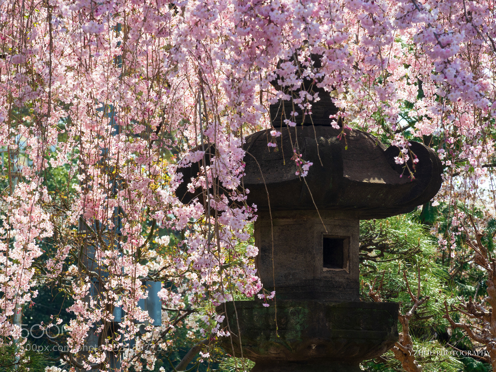 Olympus OM-D E-M1 Mark II sample photo. Stone lantern photography