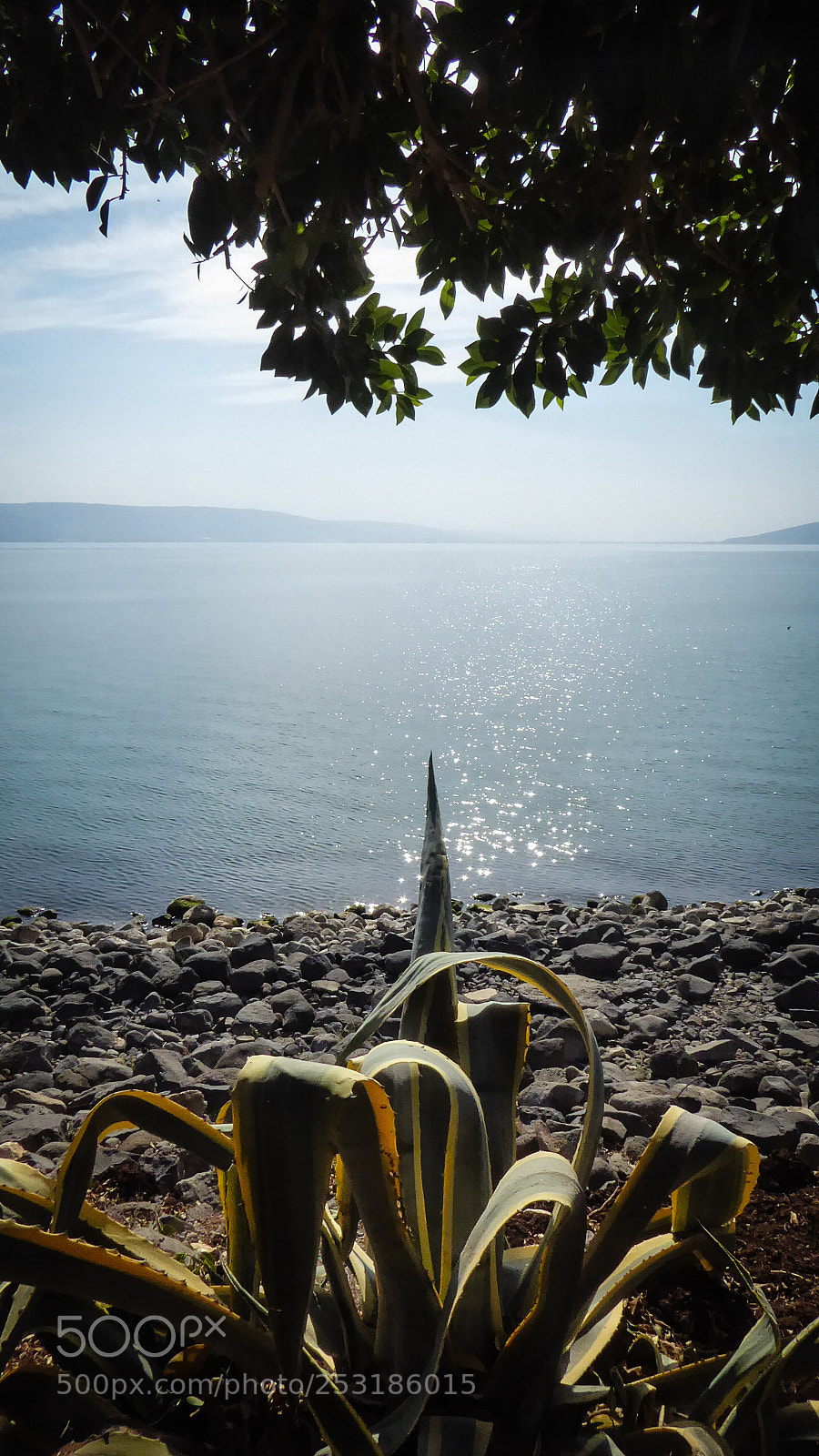 Panasonic Lumix DMC-ZS50 (Lumix DMC-TZ70) sample photo. Sea of galilee photography
