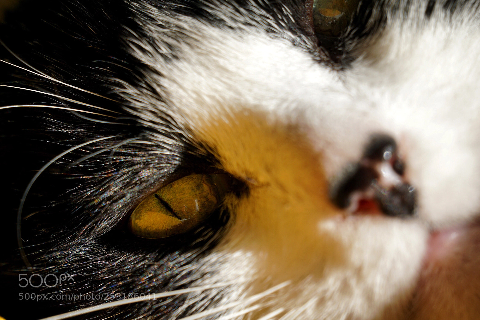 Sony a6000 sample photo. Sauron’s eye photography