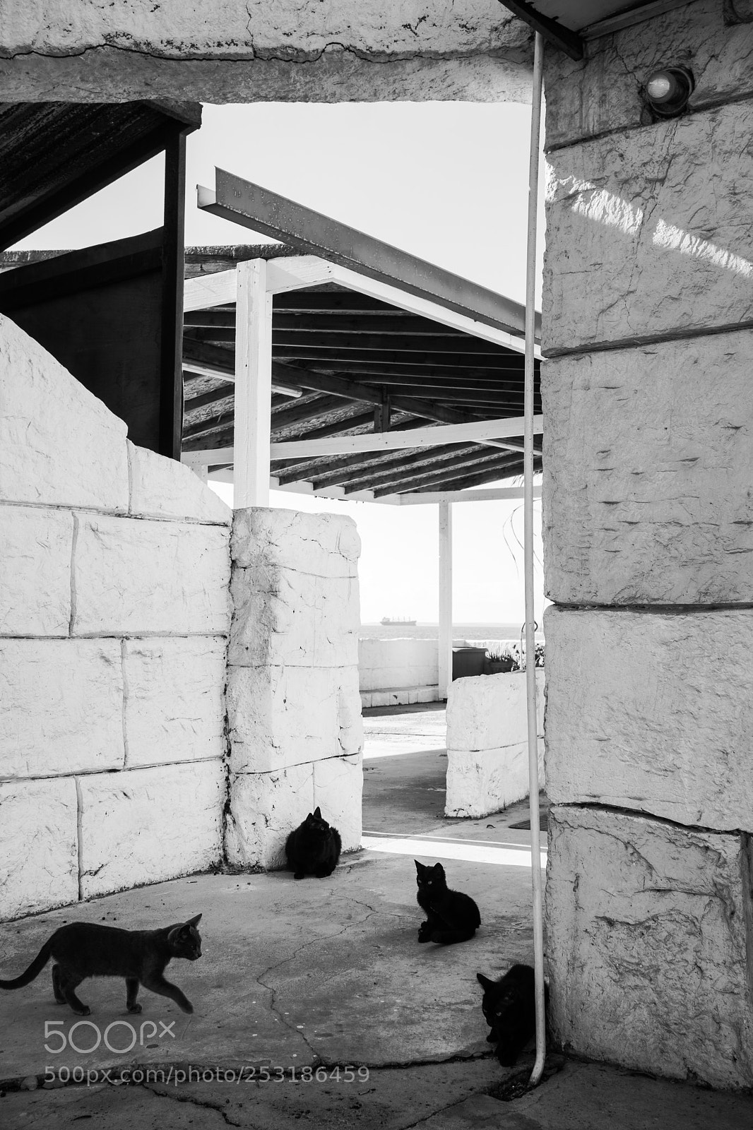 Sony a6000 sample photo. Fourthbrother photography