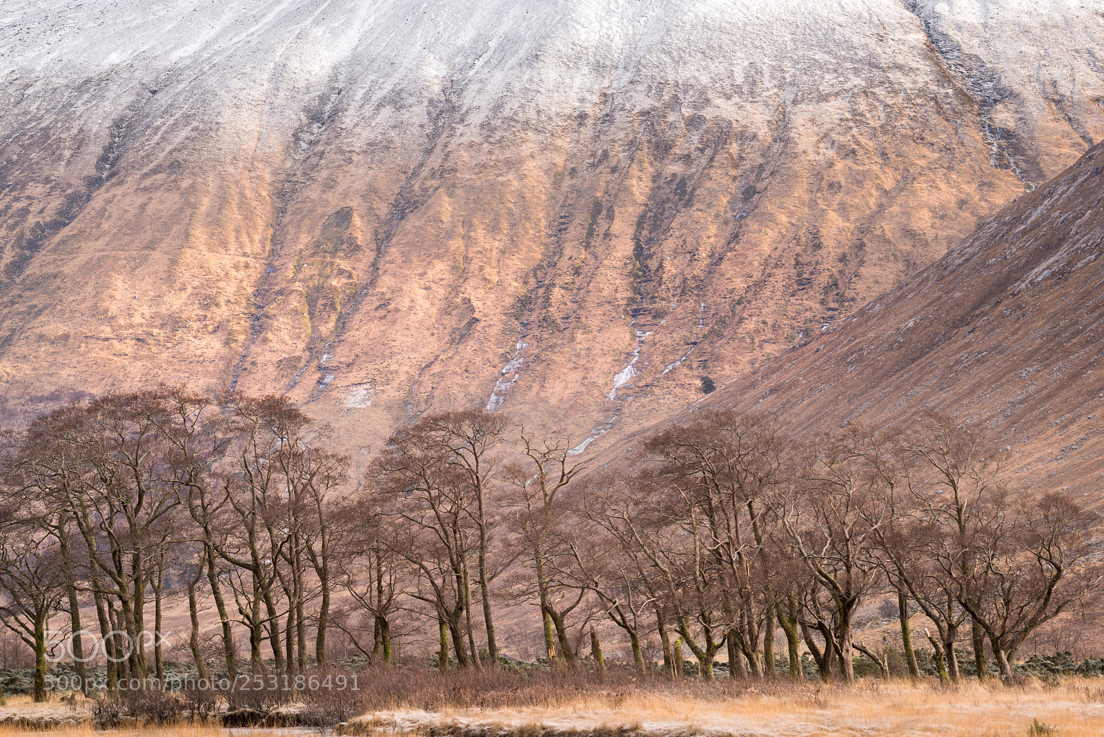 Nikon D810 sample photo. Glen etive and beinn photography