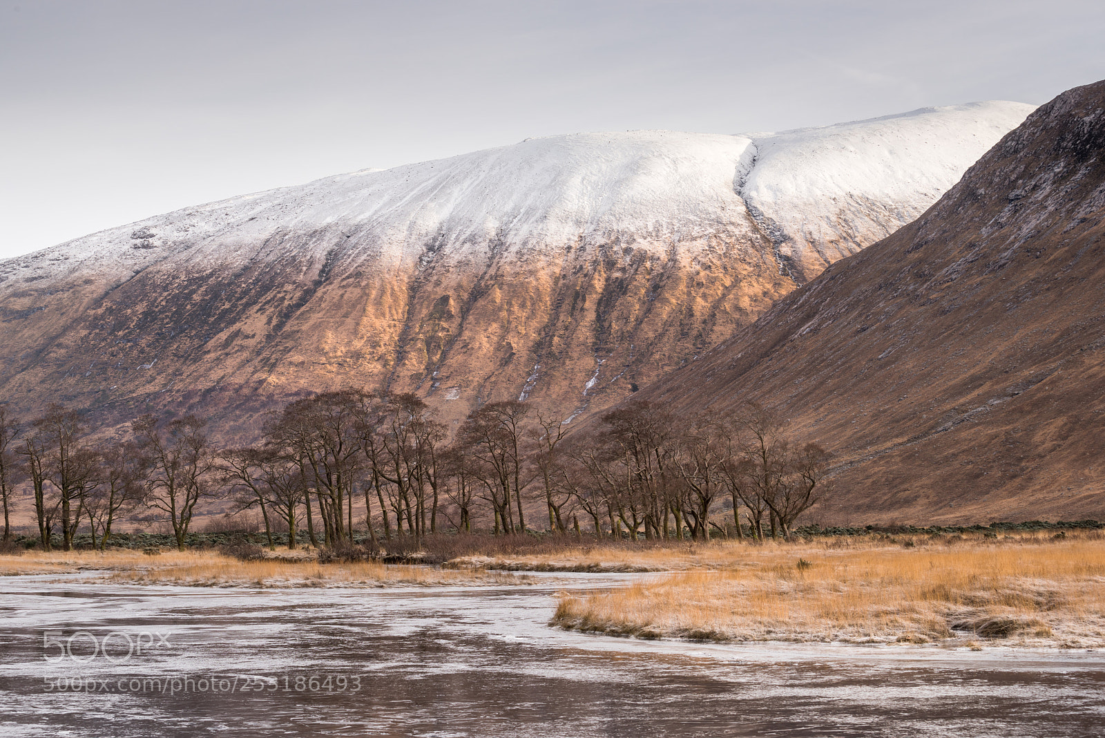 Nikon D810 sample photo. Glen etive and beinn photography